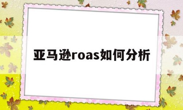 亚马逊roas如何分析